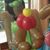 Carolyn Taylor's profile image