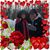 Dave Whitehead's profile image