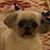 Leann Coxwell Griffis's profile image