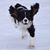 Jarrod Cash's profile image