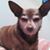 Bret Crofford's profile image