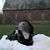 Jessica Lea's profile image