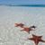 Donna Thiele's profile image