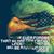 Lee Ann Larkin's profile image