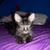 Wendy Lyons's profile image