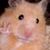 Jeffery Roberts's profile image