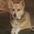Jan Duprey's profile image