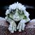 Jane Simonson Thorwald's profile image