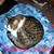 SheriLynne Kidwell's profile image