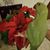 Marlene M Gonzalez's profile image
