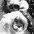 Kathy L Tyler Stetz's profile image