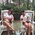 Dawn Birkbeck's profile image
