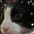 Marsha Staton Bigham's profile image
