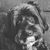 Tracy Wicklund's profile image