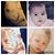 Tyree Iamagirl Bruce's profile image
