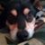 Beth Shafer's profile image