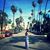 Alexis Bronder Skiles's profile image