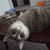 Adam Fettinger's profile image