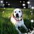 Stacy Catron Smith's profile image