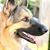 Cheryl Borod's profile image