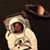 Jason Holland's profile image