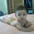 Tina Starnes's profile image