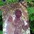 Larry R McCarty's profile image