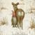 Candi Foren Smith's profile image