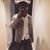 Deji Dikio's profile image