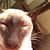 Melissa Hill's profile image