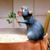 Ahmed Elshebli's profile image