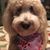 Kathi Duff DeRosa's profile image