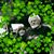 Ellen Leach Brannen's profile image