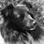 Tricia Jackson Jones's profile image