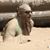 Adam Kinsler's profile image