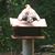 Rachel Ewalt's profile image