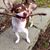 Rocky Borman's profile image
