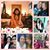 Monica Gonzalez's profile image