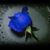 Derek S. Schmidt's profile image