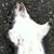 Joshua Haaland's profile image