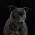 Dirk Elber's profile image