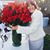 Carrie Quigley Lynch's profile image