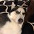 Wareeya Parwong's profile image