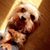 Kristi Wilson Lotti's profile image