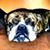 Christopher Nicolas's profile image