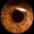Bob Kirksey's profile image