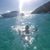 Corina Sippel-Guglielmo's profile image