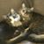 Donna Koehnke's profile image