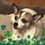 Cindy Croshaw's profile image