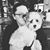 Wendy Poteet's profile image